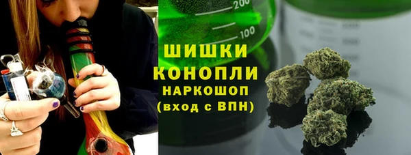 гашик Нея