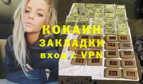 гашик Нея