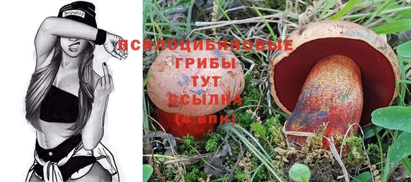ПСИЛОЦИБИНОВЫЕ ГРИБЫ Нефтегорск