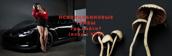 ПСИЛОЦИБИНОВЫЕ ГРИБЫ Нефтегорск