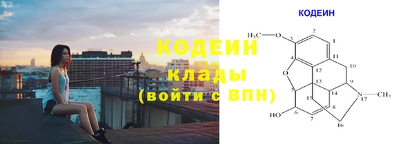 гашик Нея