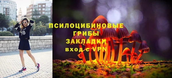ПСИЛОЦИБИНОВЫЕ ГРИБЫ Нефтегорск