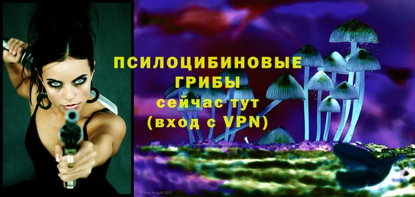 твердый Нефтекумск