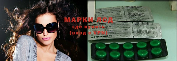 гашик Нея